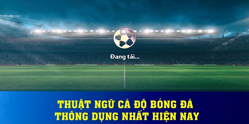 Giải Nghĩa Các Thuật Ngữ Cá Độ Bóng Đá Từ Cơ Bản Đến Nâng Cao